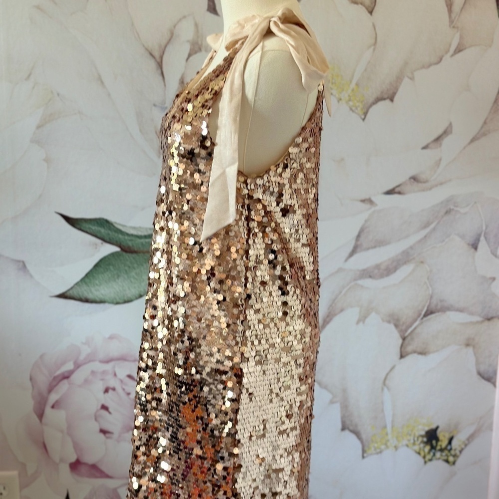Red Dress Boutique Champagne Sequin Mini Women's Dress Size XS - Picture 10 of 15